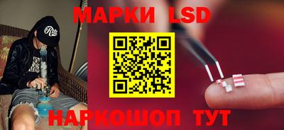 гашик Гатчина