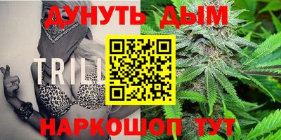 гашик Гатчина